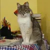Отзыв от Кира Федосеева